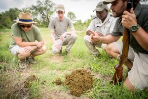 Kambaku Trails Camp South Africa2
