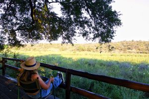 Kambaku Trails Camp South Africa3