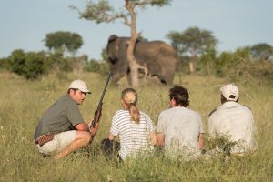 Kambaku Trails Camp South Africa6