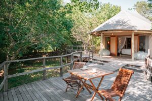 Mozambique Gorongosa Safaris Muzimu Lodge (45)