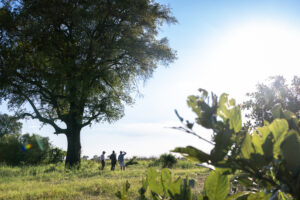 botswana okavango delta maxa camp 13