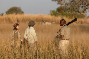 botswana okavango delta maxa camp 22
