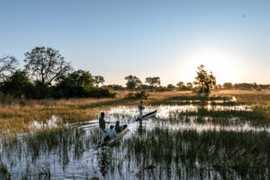 botswana okavango delta maxa camp 25