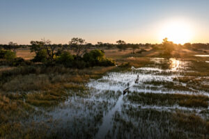 botswana okavango delta maxa camp 26