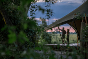 botswana okavango delta maxa camp 33
