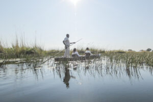 botswana okavango delta maxa camp 46