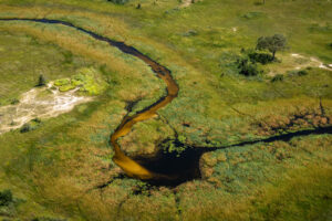 botswana okavango delta maxa camp 8