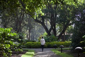 Elewana Arusha Coffee Lodge (1)