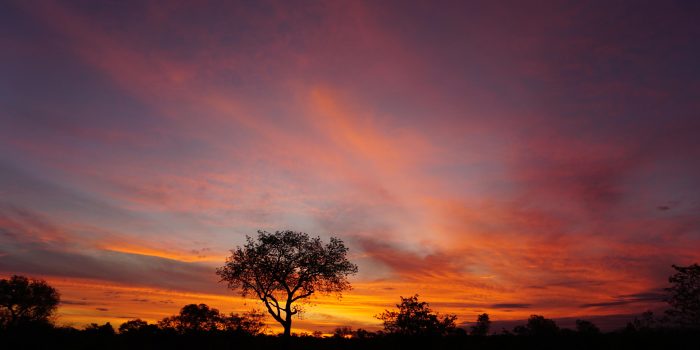 South Africa Kruger National Park Xanatseni Private Camp (24)