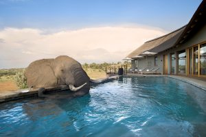 South Africa Waterberg Mhondoro Safari Lodge (6)