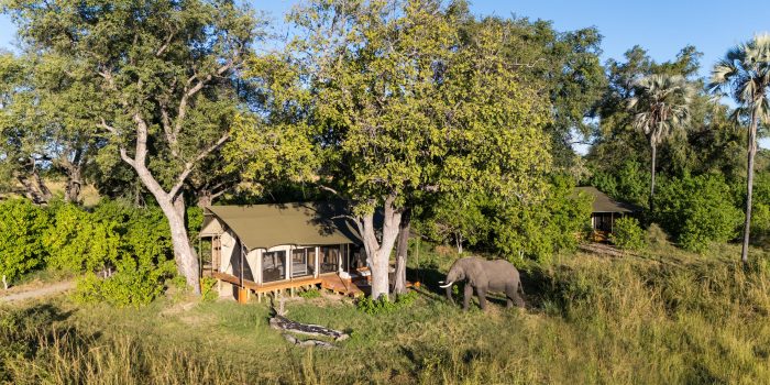Botswana Monachira Camp (13)