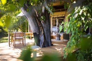 Botswana Monachira Camp (15)