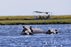 Botswana Monachira Camp (23)