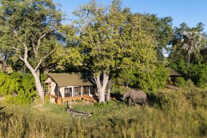 Botswana Monachira Camp (6)