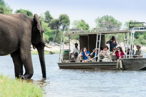 Namibia Chobe River Zambezi Queen (154)