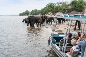 Namibia Chobe River Zambezi Queen (74)