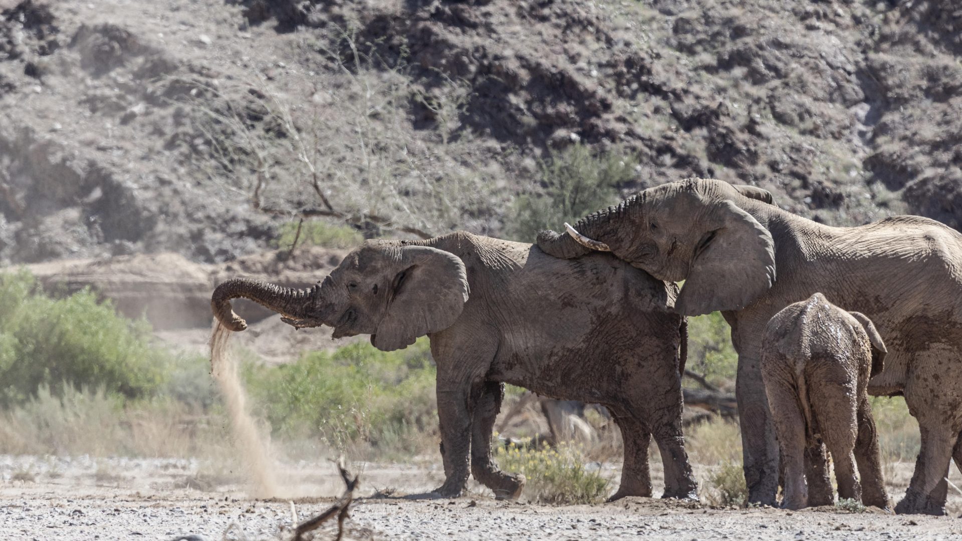 Namibia Twyfelfontein Adventure Camp (11)