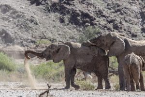 Namibia Twyfelfontein Adventure Camp (11)