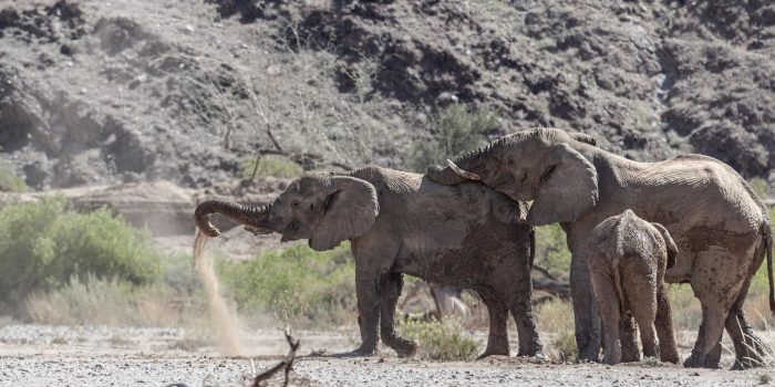 Namibia Twyfelfontein Adventure Camp (11)