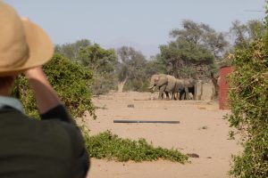 Namibia Twyfelfontein Adventure Camp (28)