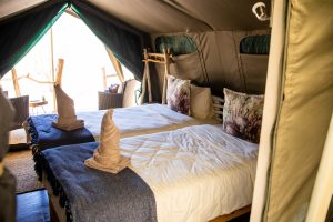 Namibia Twyfelfontein Adventure Camp (50)