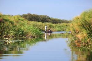 Namibia Zambezi Mubala Camp (22)