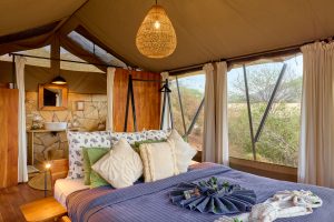 Tanzania Mkomazi Wilderness Retreat (105)