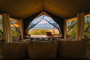 Tanzania Mkomazi Wilderness Retreat (11)
