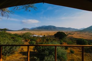 Tanzania Mkomazi Wilderness Retreat (15)
