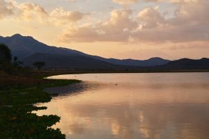 Tanzania Mkomazi Wilderness Retreat (90)