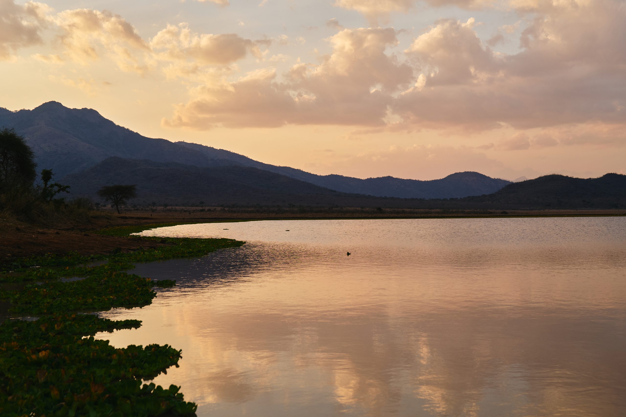 Tanzania Mkomazi Wilderness Retreat (90)