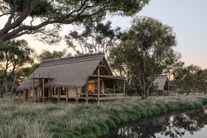 Botswana Okavango Delta Sediba Sa Rona (32)