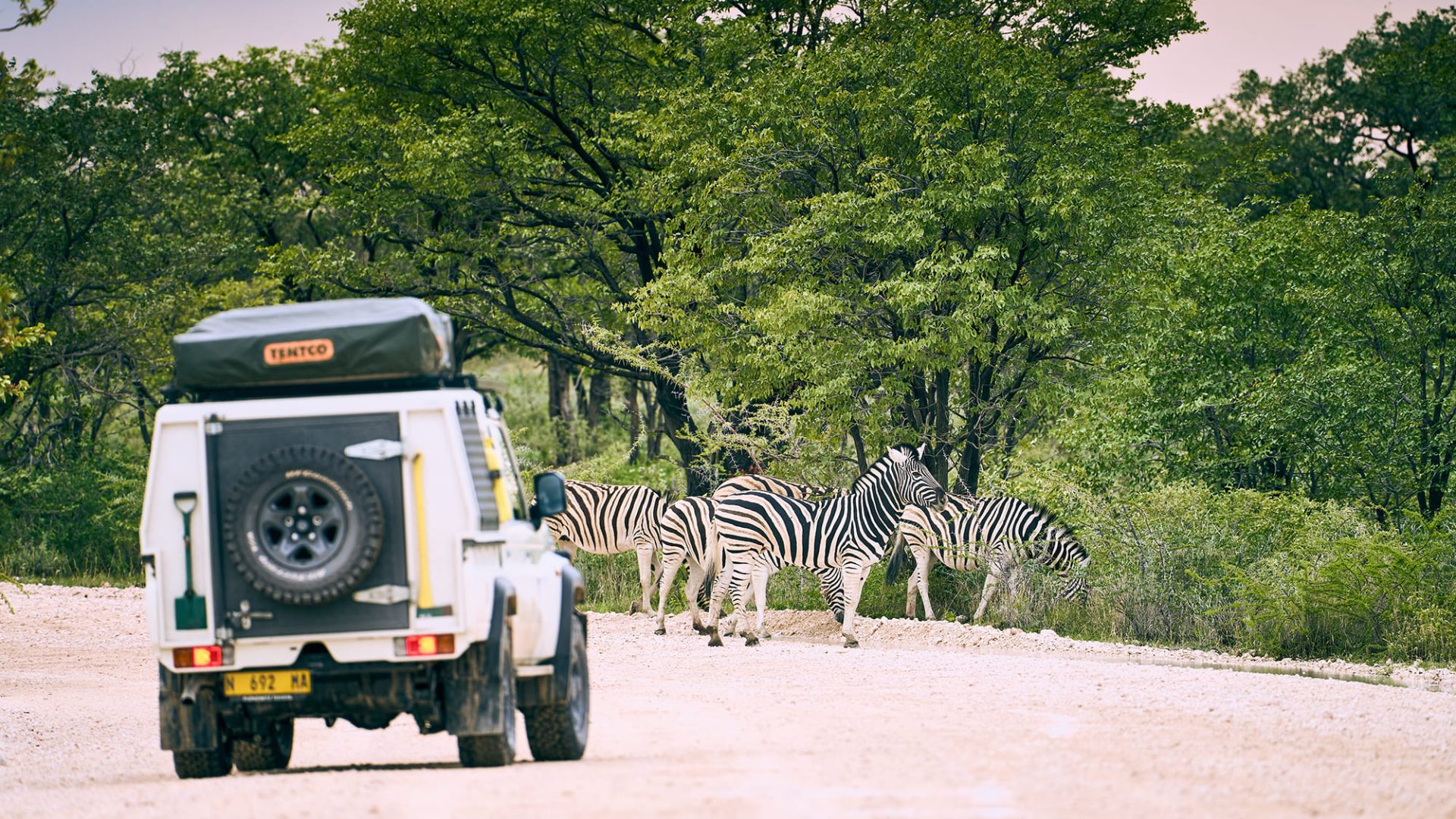 Namibia Etosha Omusati Lodge (1)