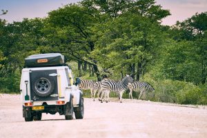 Namibia Etosha Omusati Lodge (1)