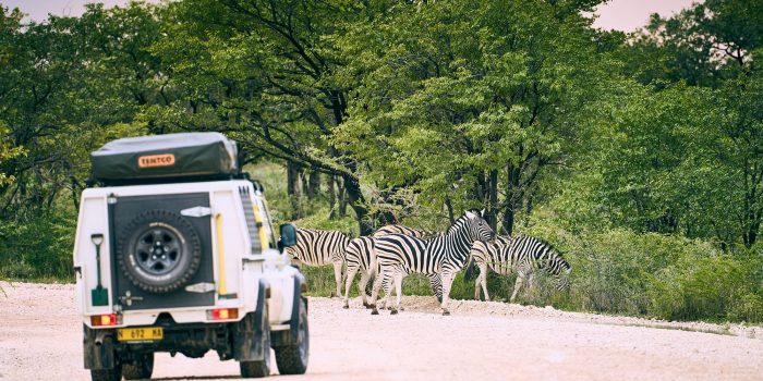 Namibia Etosha Omusati Lodge (1)