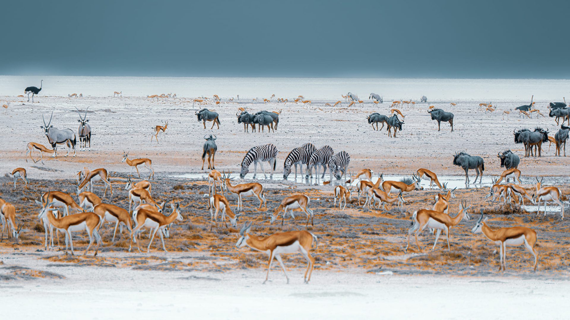 Namibia Etosha Omusati Lodge (2)