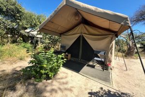Botswana Mababe Tented Camp (2)
