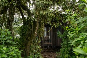 Lemala Osonjoi Lodge Suite Exterior