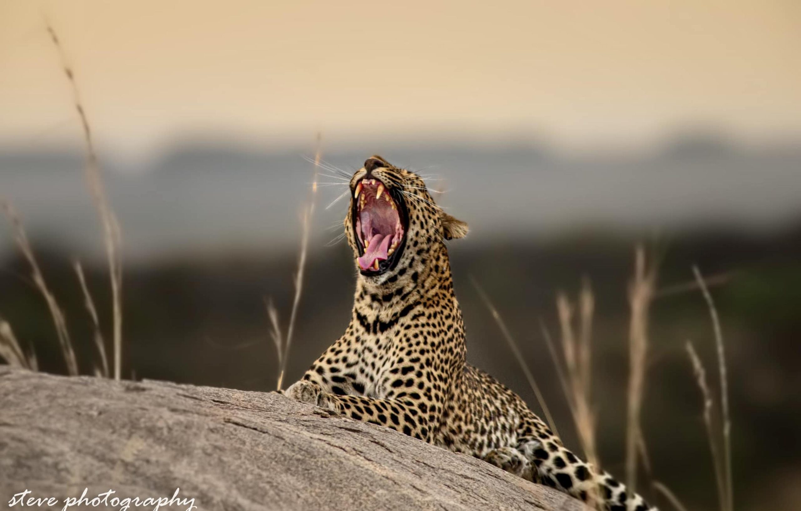 Lemala Osonjoi Lodge Tanzania (14)
