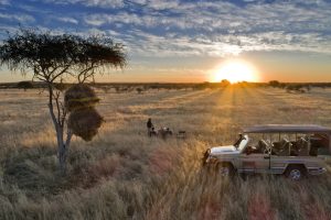 Namibia Etosha Safari House (16)