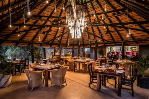 Sabi Sabi Bush Lodge (19)