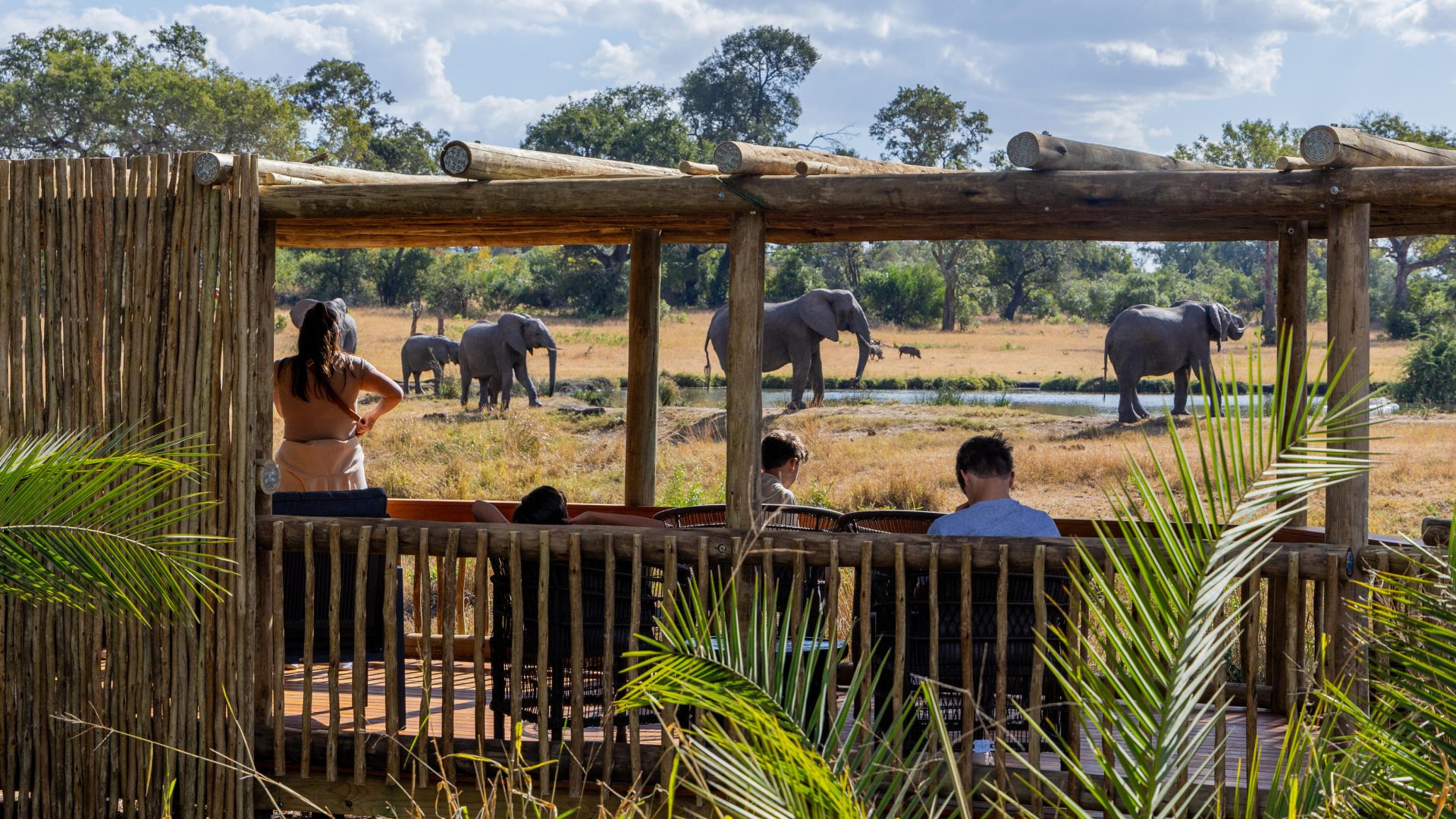 Sabi Sabi Bush Lodge (27)