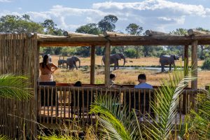 Sabi Sabi Bush Lodge (27)