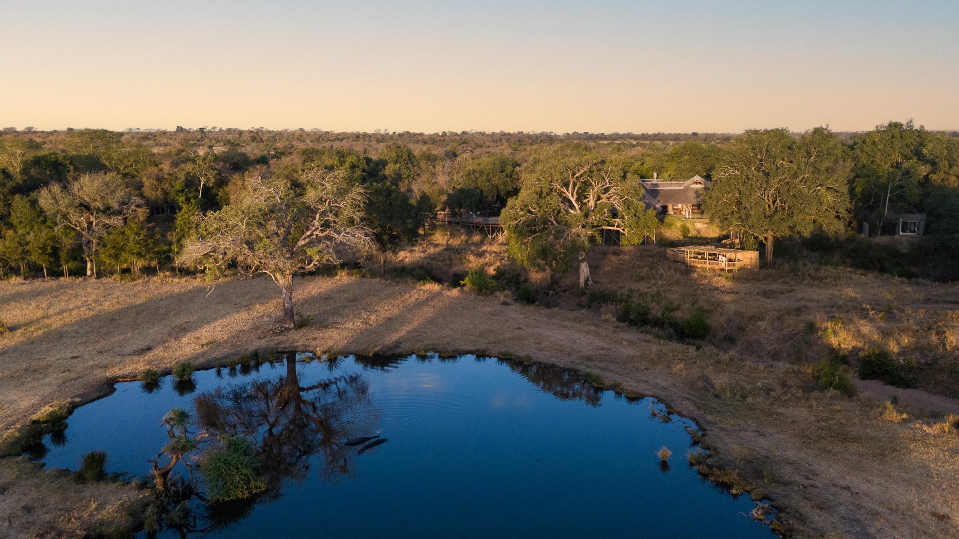 Sabi Sabi Bush Lodge (28)