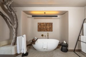Sabi Sabi Bush Lodge (30)
