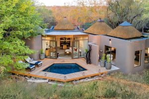 Sabi Sabi Bush Lodge (42)
