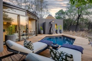 Sabi Sabi Bush Lodge (47)