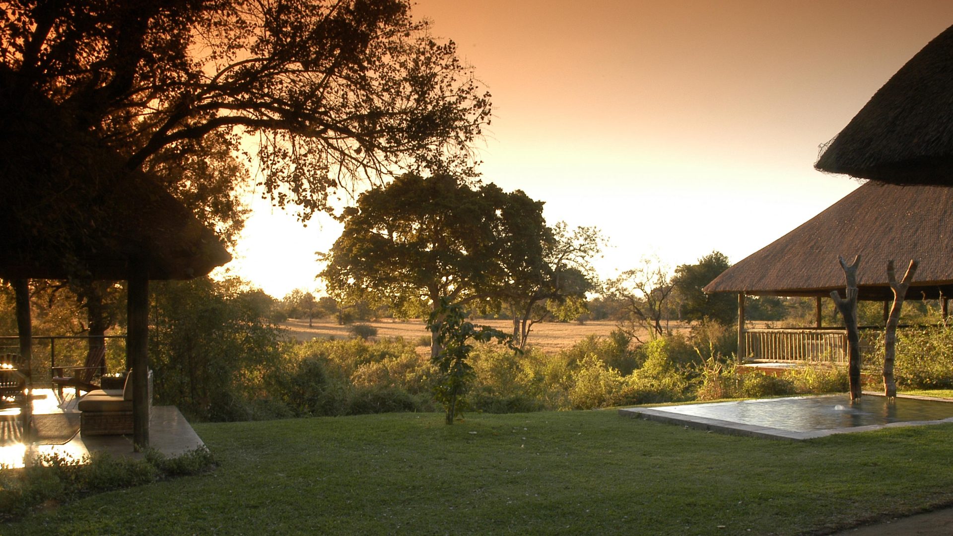 Sabi Sabi Bush Lodge (5)