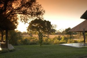 Sabi Sabi Bush Lodge (5)