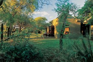 Sabi Sabi Bush Lodge (65)